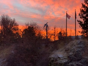 fiwG2pxZTDG8VbAkbrySmg