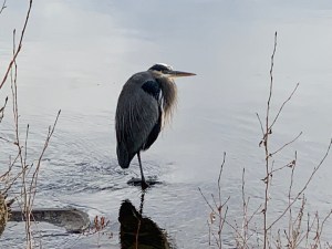 fyAepFVlSnyv5AAAx4KaXg