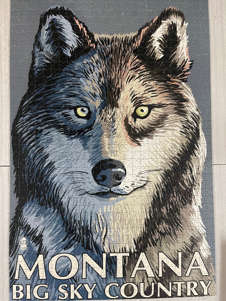 Great picture of a wolf - full of mystery.